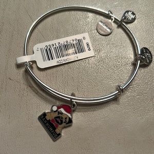 Alex and Ani bangle